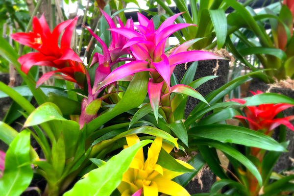 IMG_0423.jpeg 600��400 133K